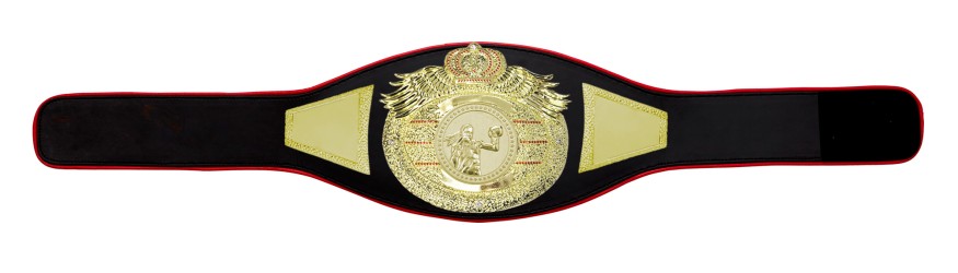 *NEW* PROICON FEMALE BOXING CHAMPIONSHIP BELT/G/FEMBOXG - AVAILABLE IN 6+ COLOURS